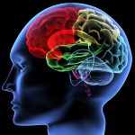Mind as in Brain