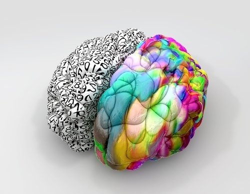 Brain Diversity
