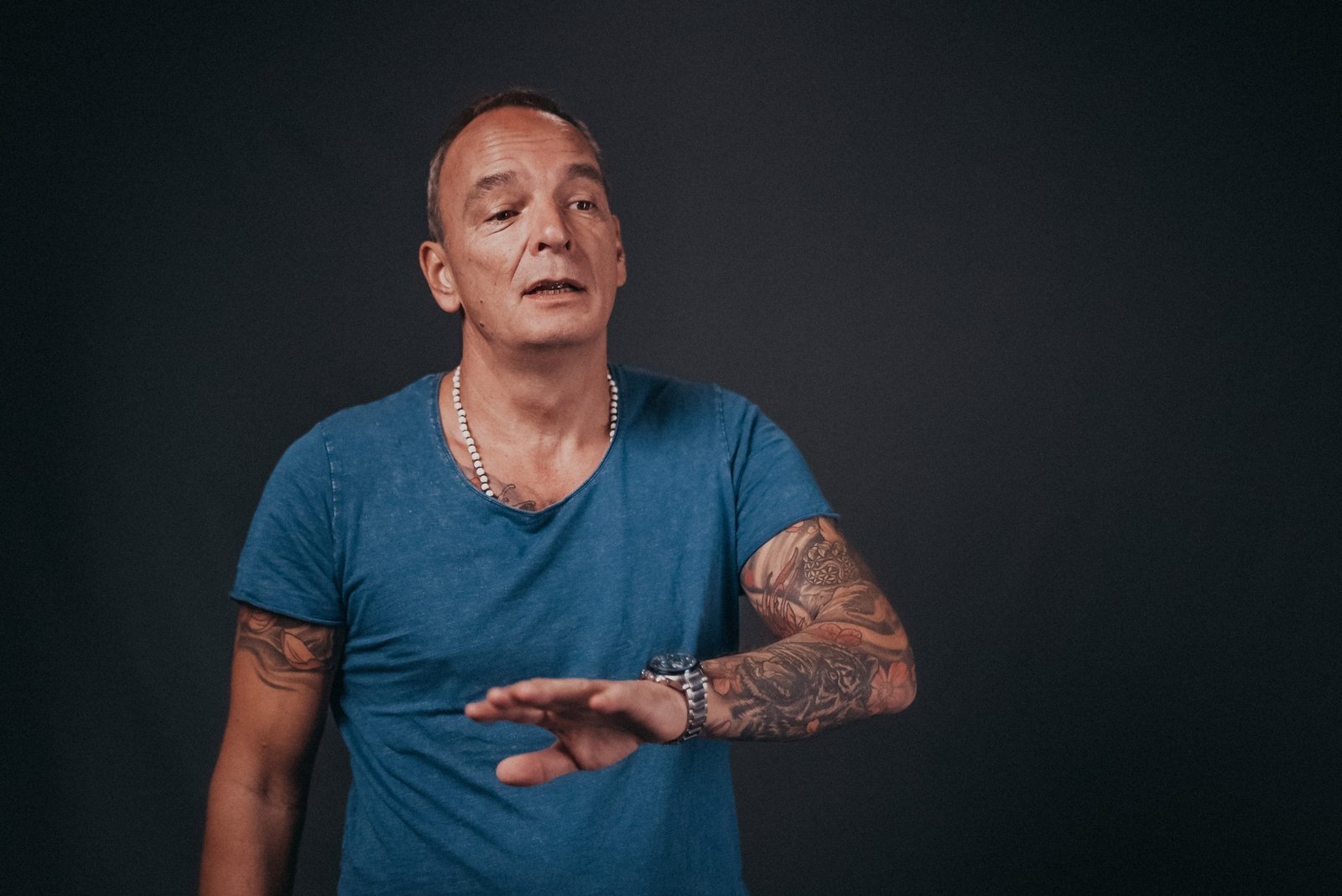 GA Blue swinging arm