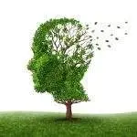 Blowing head leafs